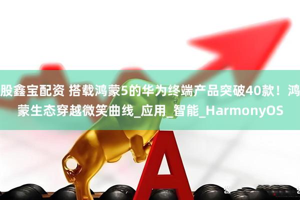 股鑫宝配资 搭载鸿蒙5的华为终端产品突破40款！鸿蒙生态穿越微笑曲线_应用_智能_HarmonyOS