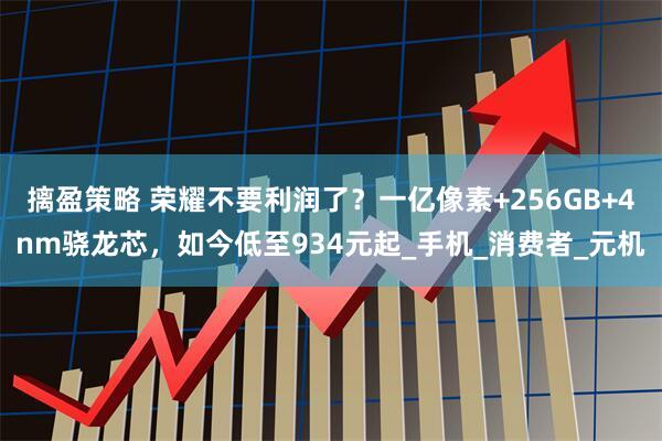 摛盈策略 荣耀不要利润了？一亿像素+256GB+4nm骁龙芯，如今低至934元起_手机_消费者_元机