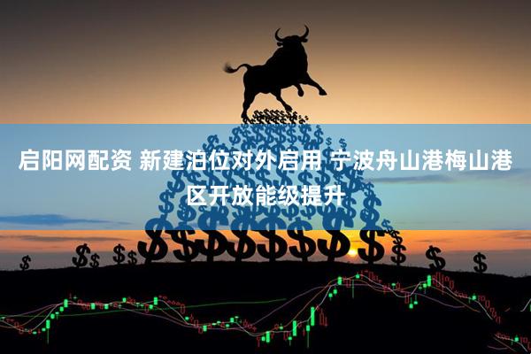 启阳网配资 新建泊位对外启用 宁波舟山港梅山港区开放能级提升